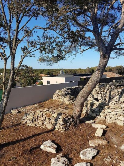 Villa Neuve Avec Piscine Bonifacio  Exterior photo